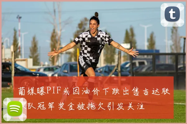 葡媒曝PIF或因油价下跌出售吉达联球队冠军奖金被拖欠引发关注